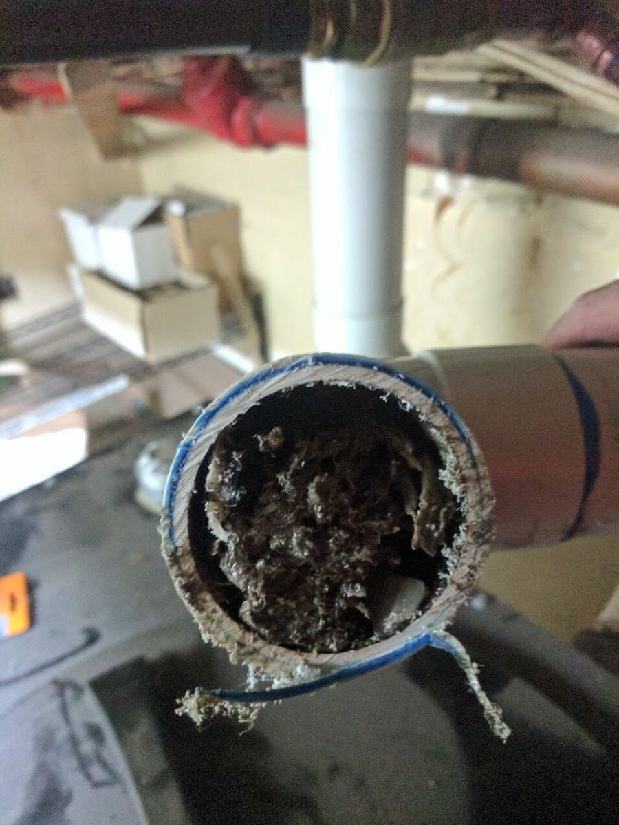 Cross-section of a blocked pipe packed solid with debris